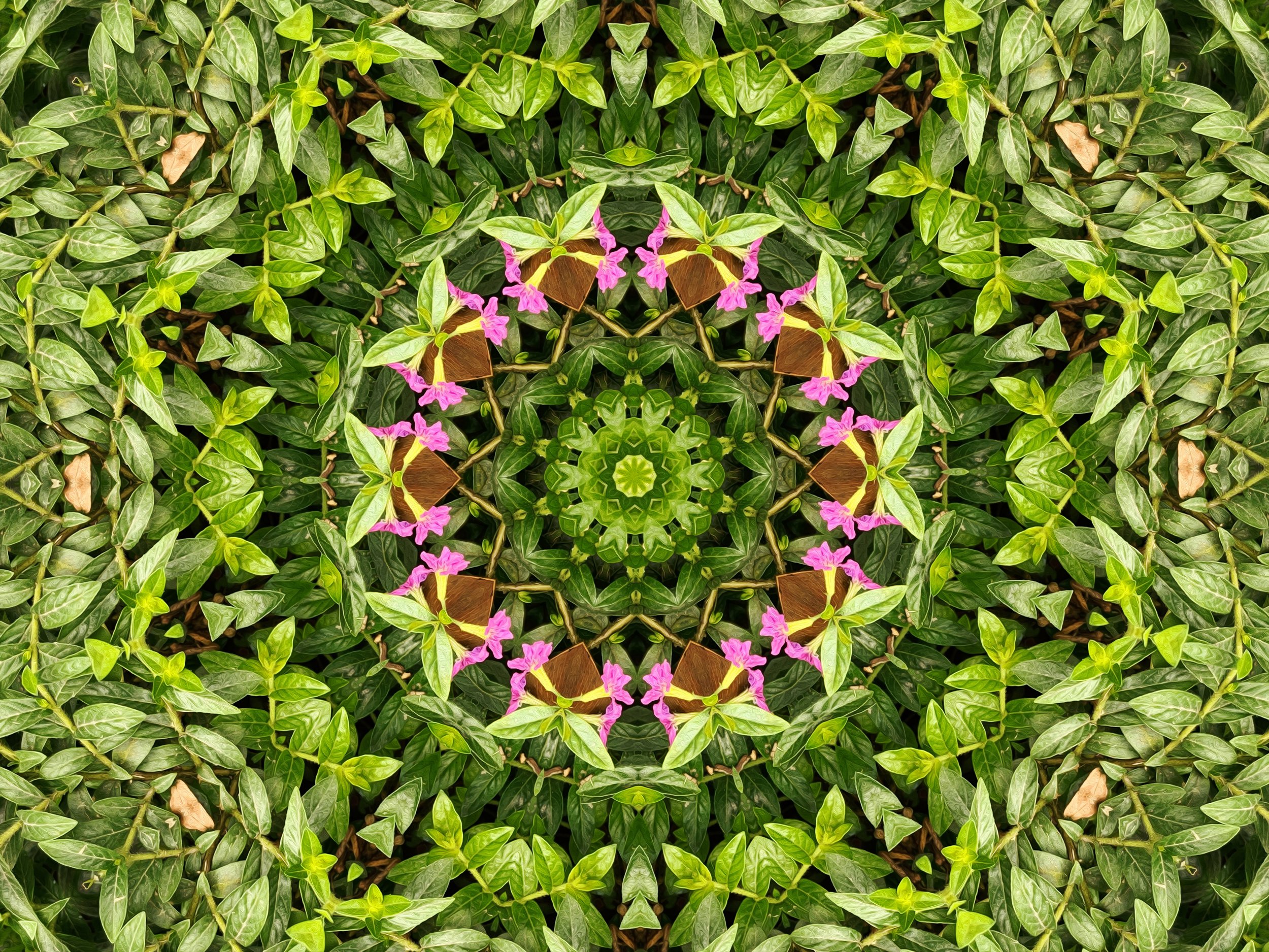 A kaleidoscopic pattern made from green leaves and pink flowers.