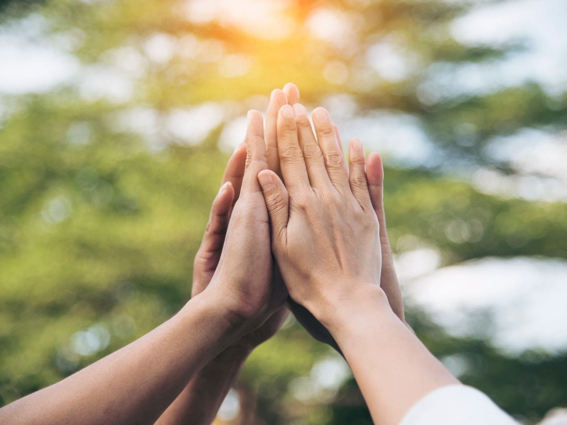 Multiple hands stacked together outdoors with sunlight and blurred trees in the background.