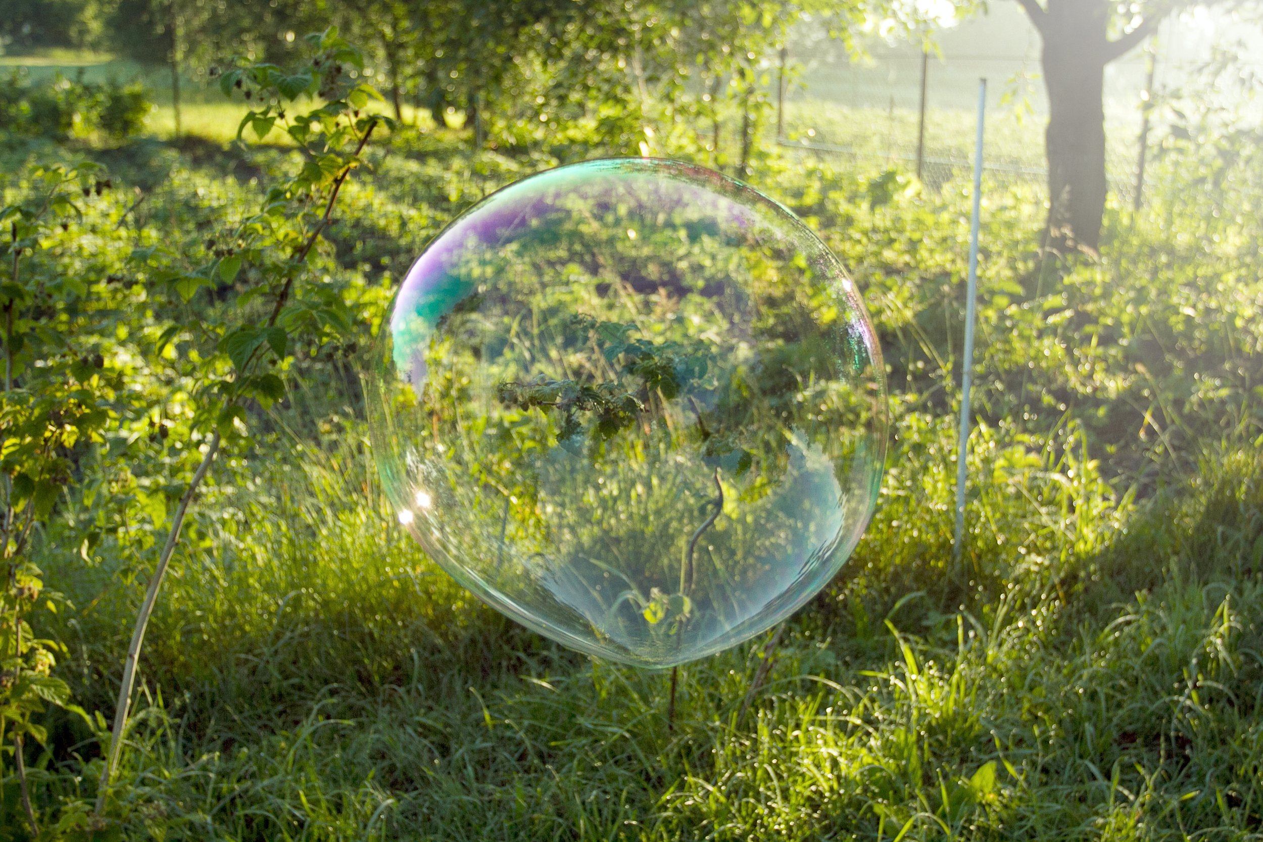 Resisting the Illusion of Separateness