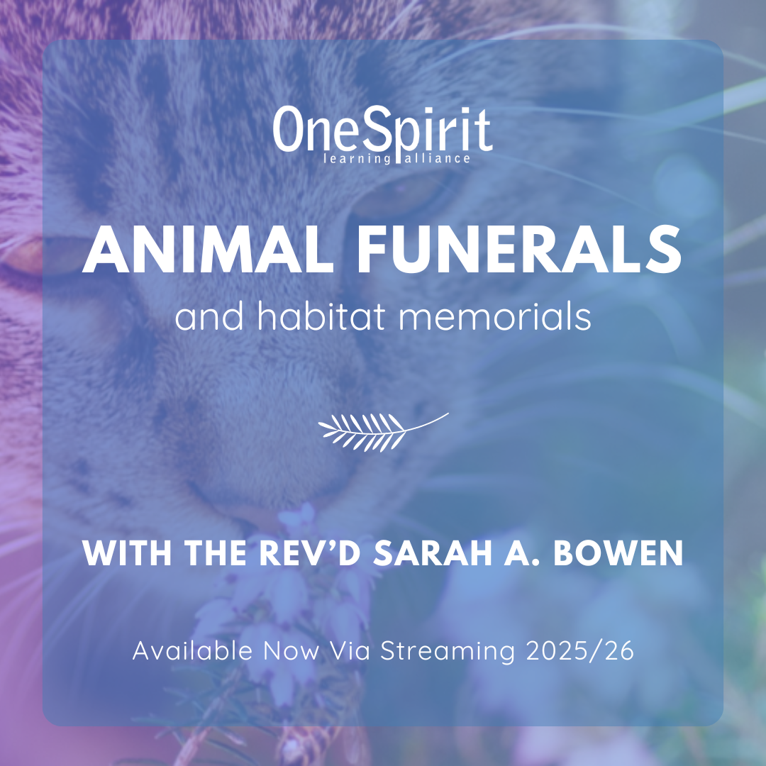 Animal Funerals and Habitat Memorials